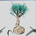 Bonsai displayed with Pre-integrated Volume Rendering