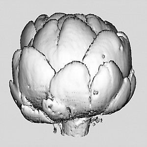ArtichokeIso