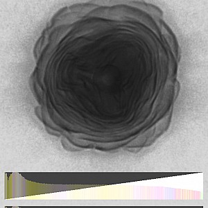 HistogramVoxels