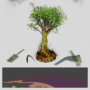 Bonsai-STF Bonsai-STF
